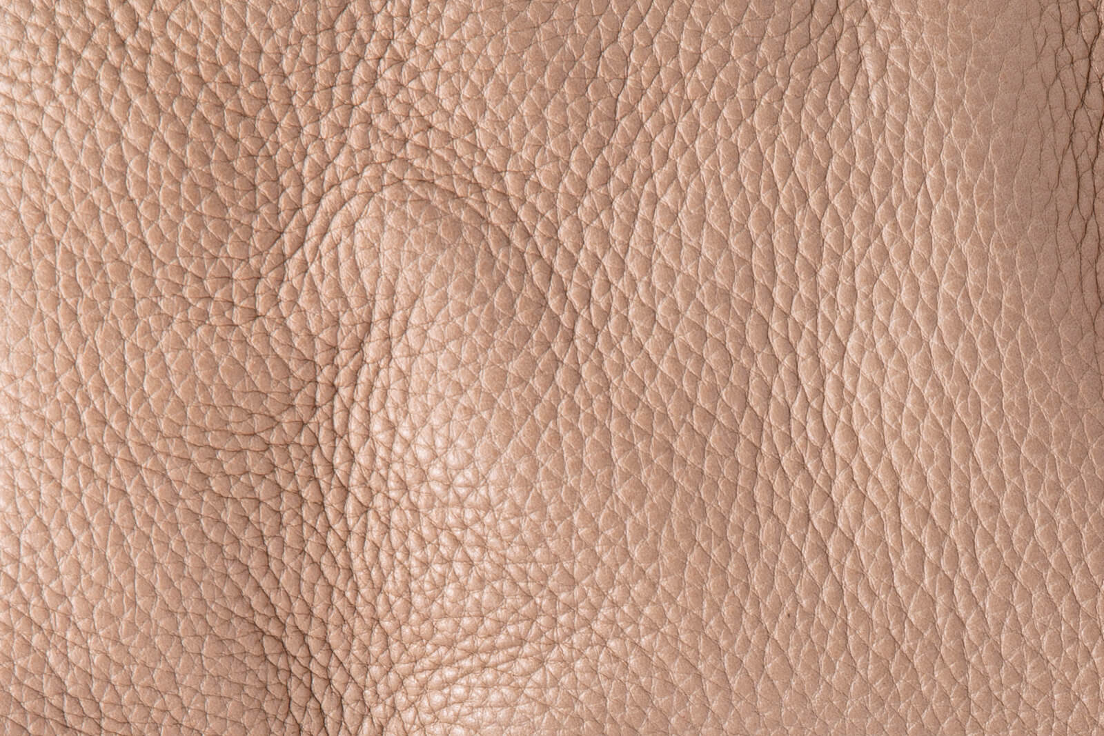 Pebbled Leather - Texture with Style and Durability