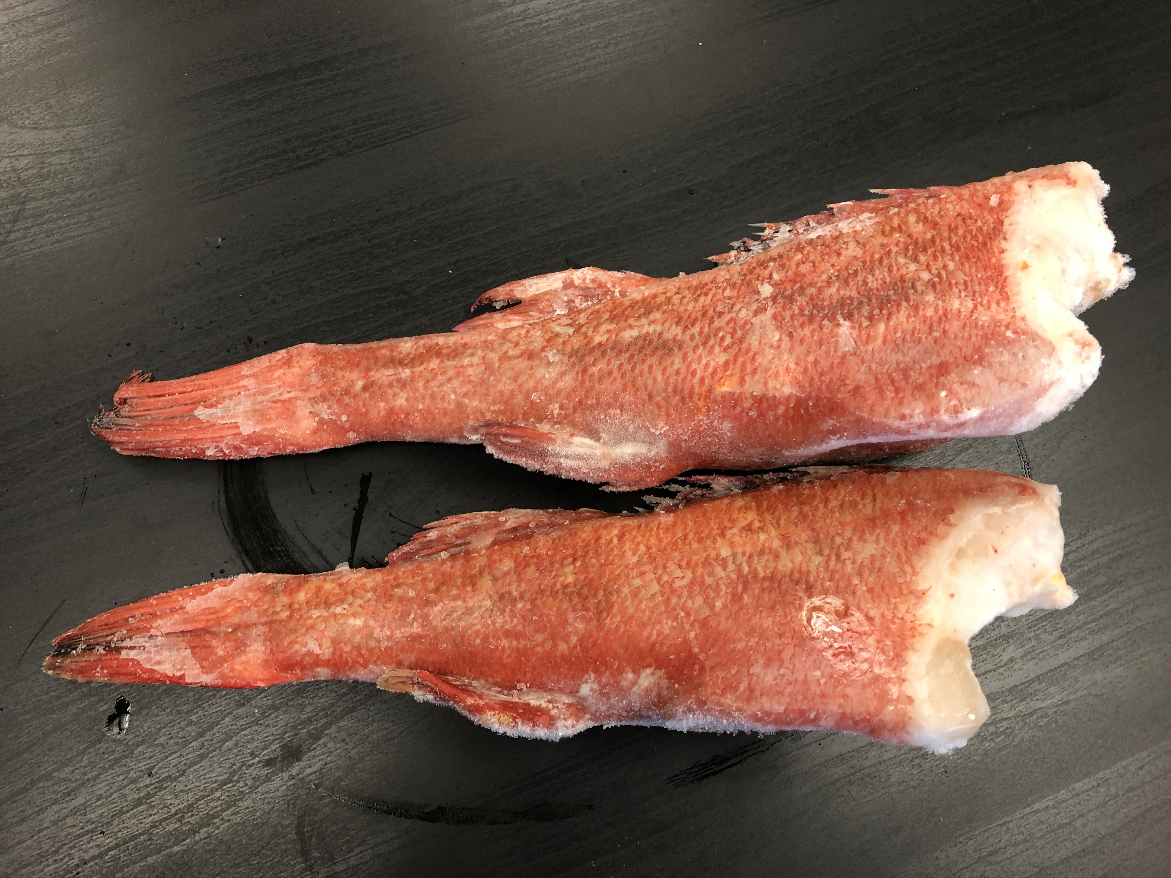 Ocean Providence Las Vegas LLC | Kinki -Rock fish Alaska