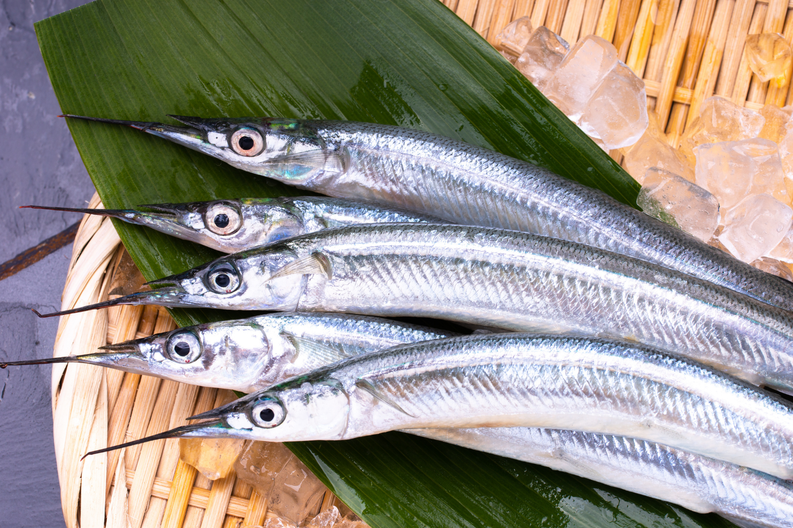 Kinmedai Alfonsino Fish from Toyosu Market