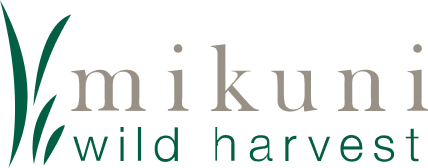 Mikuni Canada Market