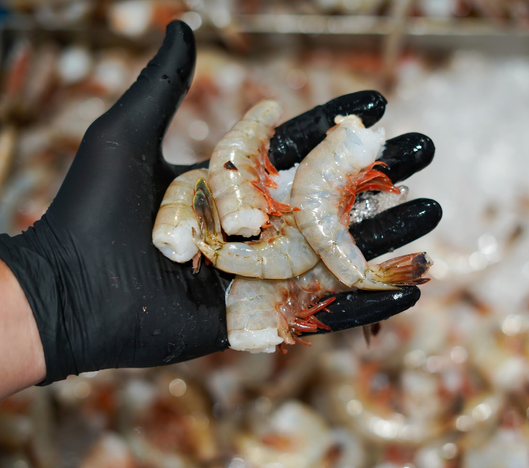 Safe Harbor Seafood | Large Head-Off Mayport Shrimp (31-35 per lb)
