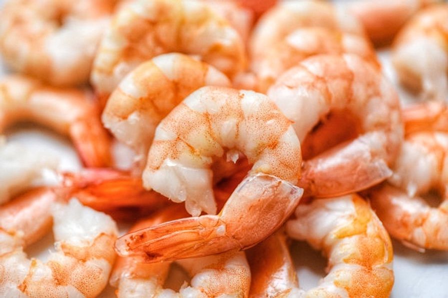 White Shrimp - 16/20 - COOKED - FROZEN - 10LB MASTER CASE