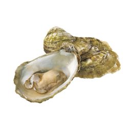 Oysters, Beau Soleil