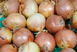 Yellow Onion