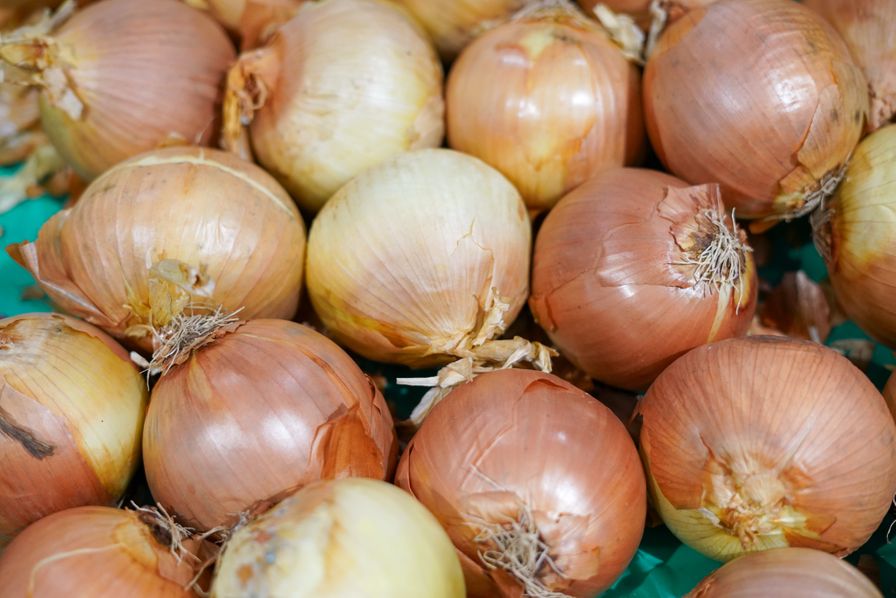 Yellow Onion