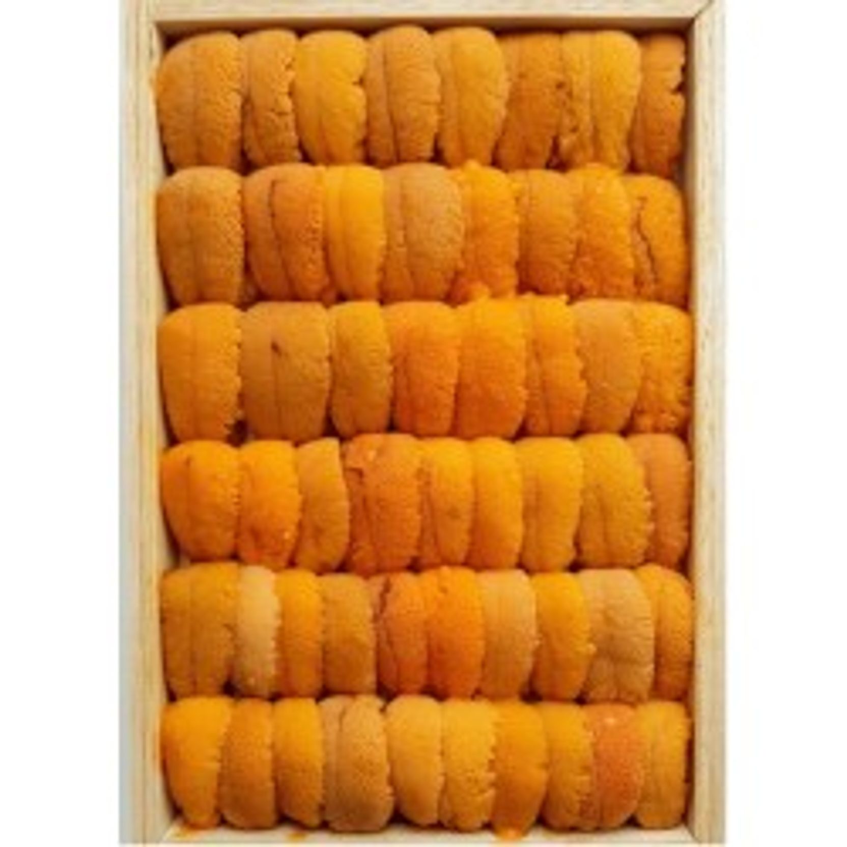 Daily Seafood  Sea Urchin Roe (Uni) - Bafun Narabi Fresh Japanese