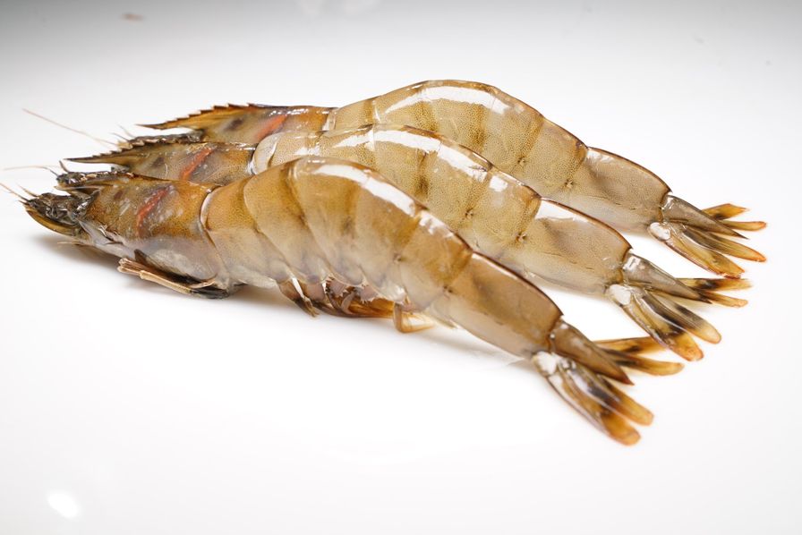 Wild Caught Hawaii Kauai Sweet Prawns U8 U12 2 5 Lbs Wild Caught Hawaii Kauai Sweet Prawns U8 U12 2 5 Lbs