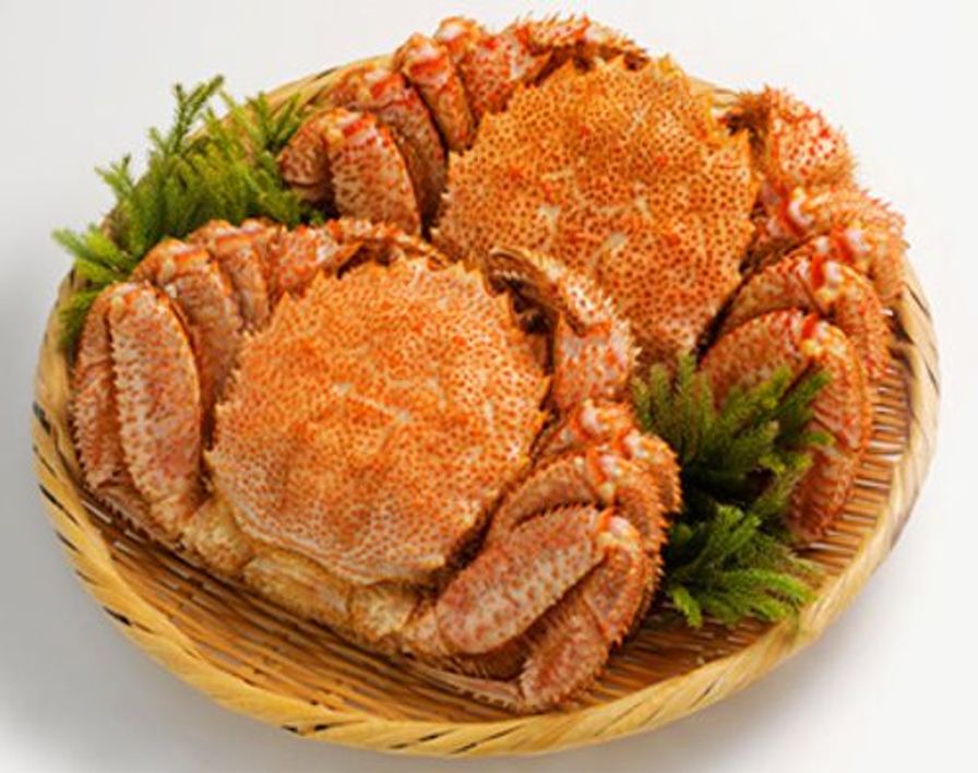 Crab - Wild Hokkaido Horsehair (Kegani) 450 - 550 gm