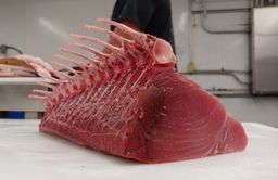 Tuna