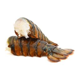 Canadian Lobster Tail