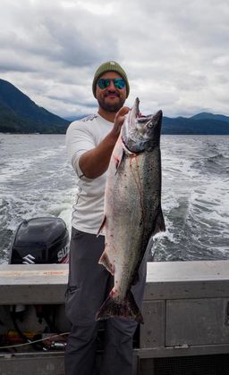 Chinook salmon - H/G Frozen - BC WILD