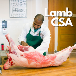 American Lamb CSA