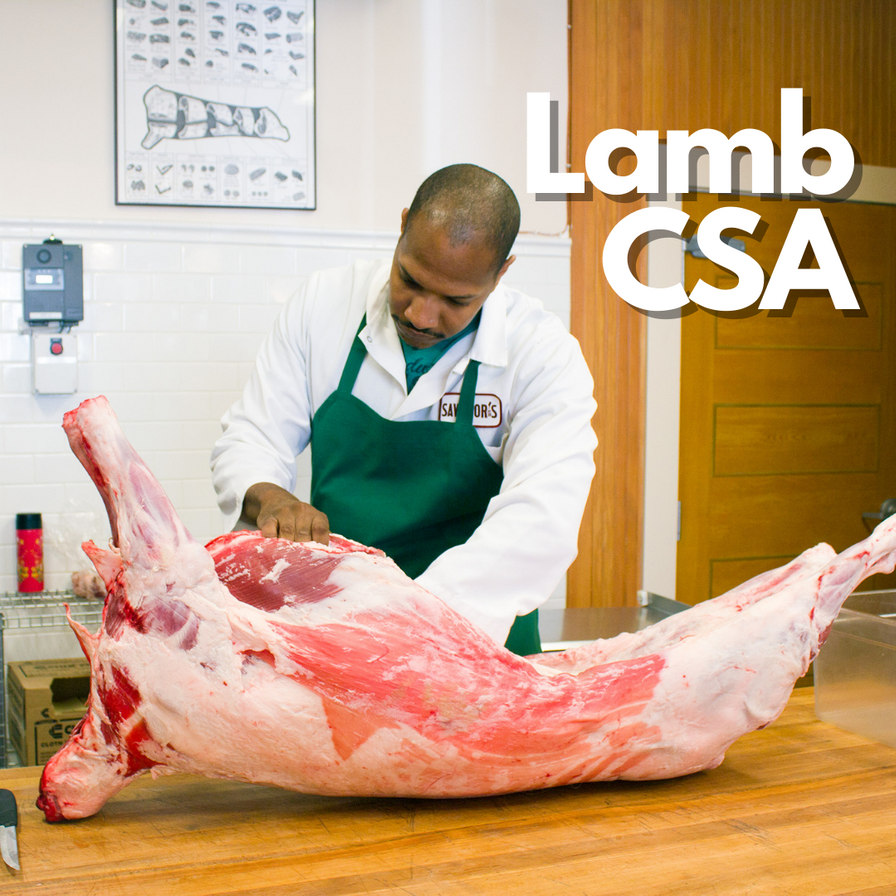 American Lamb CSA