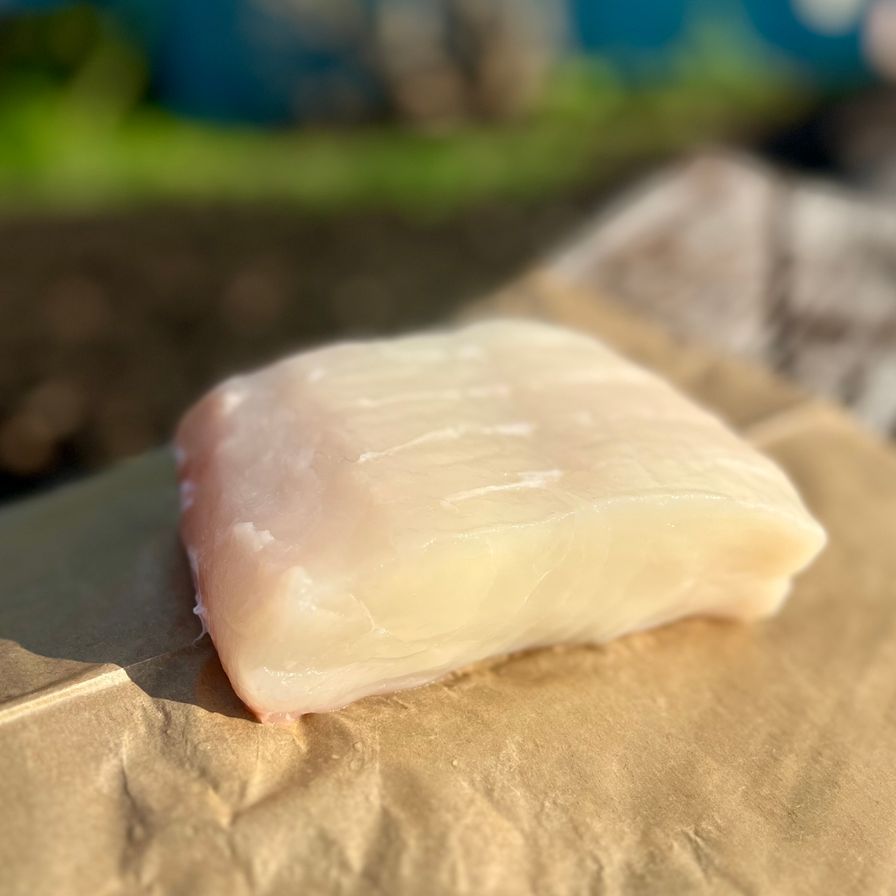 Halibut