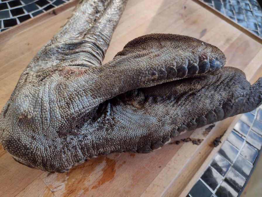Ostrich whole foot 