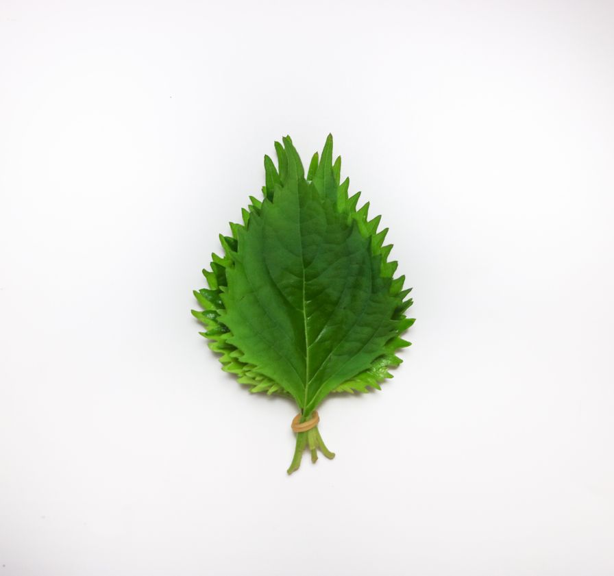 Shiso Leaves - Japanese (≈50gm)
