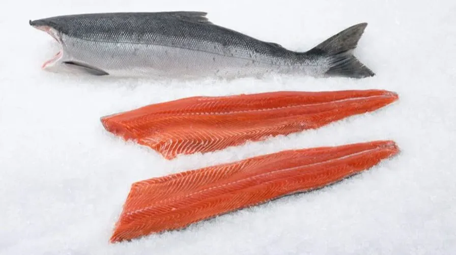 Salmon - Wild Red Spring Whole (7-11 lbs)