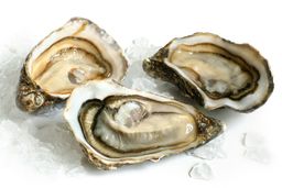 Blue Pearl Oysters (locally harvested in NB) 