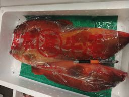 Akahata - Premium Japanese Blacktip Grouper