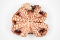 Whole Octopus Raw 2-4Lb Flowers - FROZEN