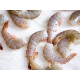 Shrimp - Wild U.S. Gulf 16/20 Head Off (5 lbs)