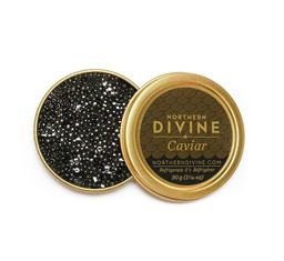 Caviar - Sturgeon Northern Divine Canadian (30 gm)