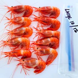 Kauai large Fresh Prawns 7-10 count