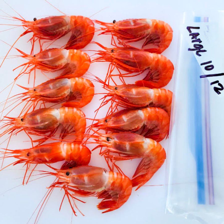 Kauai large Fresh Prawns 7-10 count