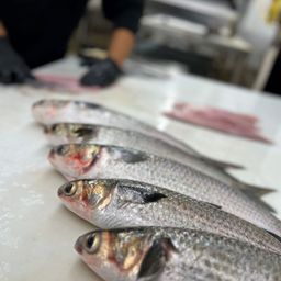Popeye Mullet (Whole)