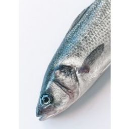 Sea Bass (Branzino) - Whole 600-800gm