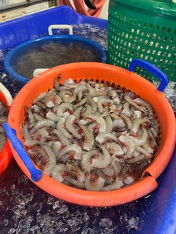 5 Lb Shrimp Dinner Bundle-Choose Your Seasoning & Sauce