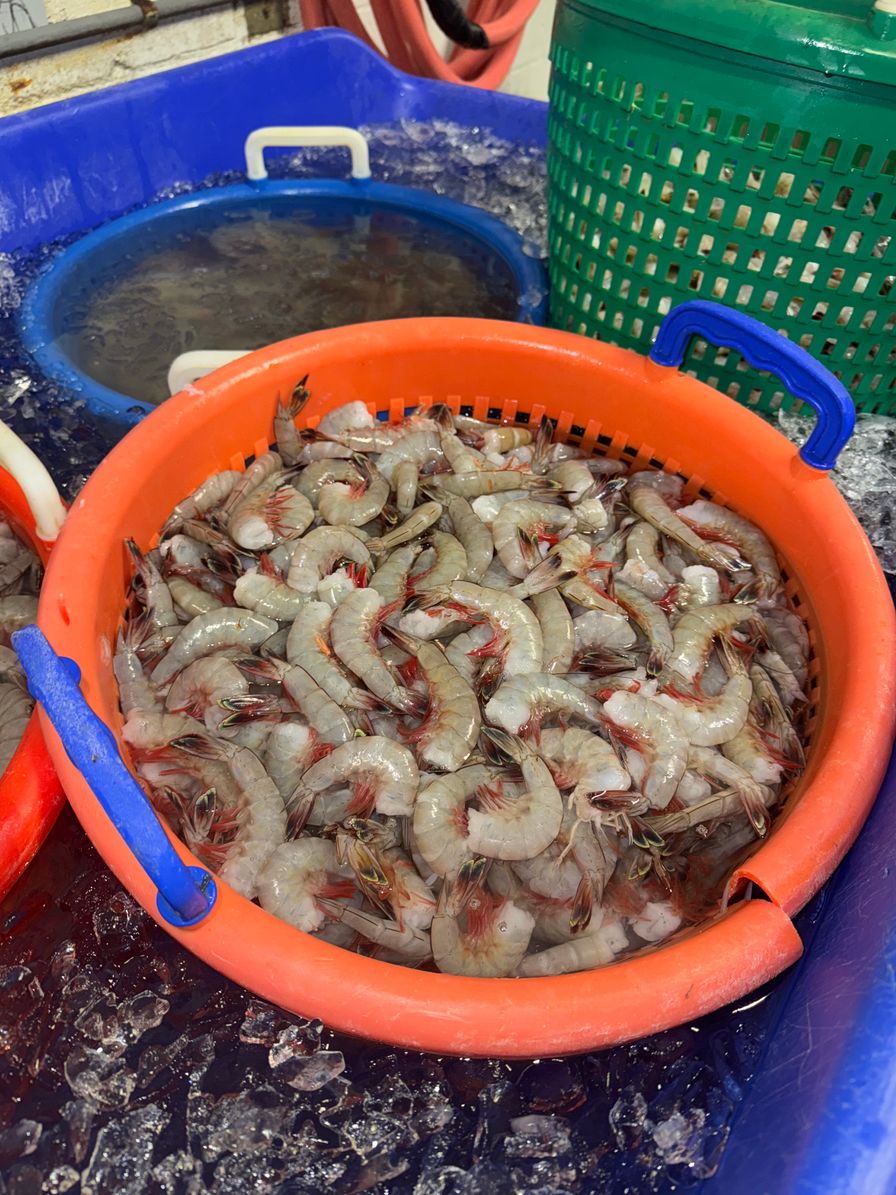 5 Lb Shrimp Dinner Bundle-Choose Your Seasoning & Sauce