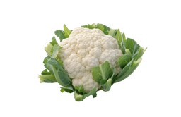 Cauliflower, White