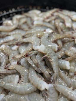Large Shrimp (36/40 per lb)