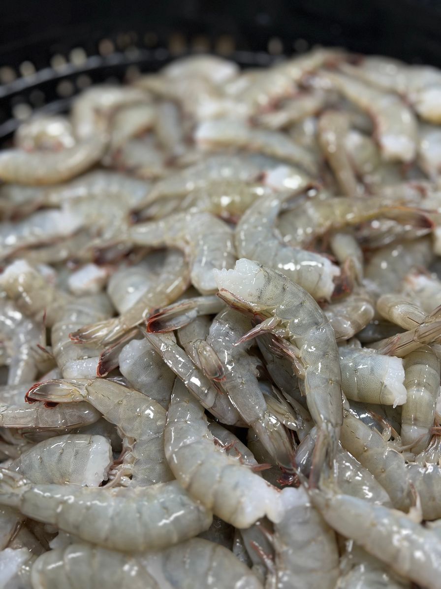 Large Shrimp (36/40 per lb)