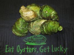 Lucky Lime Oysters