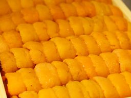 UNI - SEA URCHIN JYO OGAWA