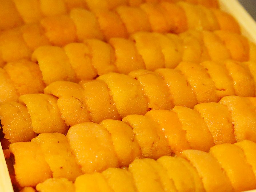 UNI - SEA URCHIN JYO OGAWA