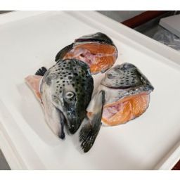 Salmon - Atlantic Canadian  Heads (Pack of 2)