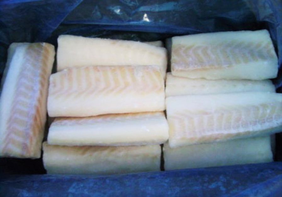 Cod - CLUB Atlantic Frozen Loins (10 lbs)