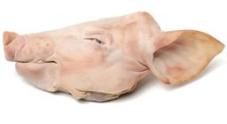 Pig Head 