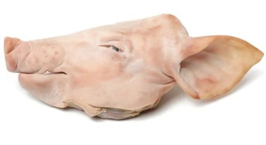 Pig Head 