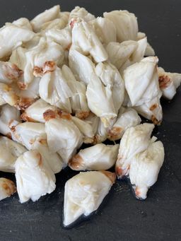 Crab BLUE MEAT JUMBO LUMP COOKED (12x280g) Pasteurized