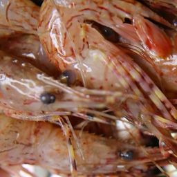 Coonstripe Shrimp tails - BC Wild, Frozen