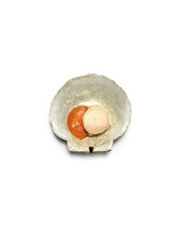Scallops - Wild Live New England (5 lbs)
