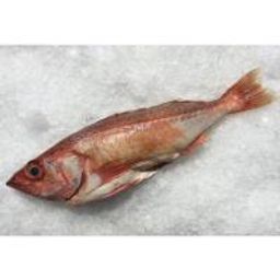 Local Chilipepper Rockfish (Whole, 2lbs. avg.)