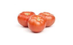 Tomato 5X6-