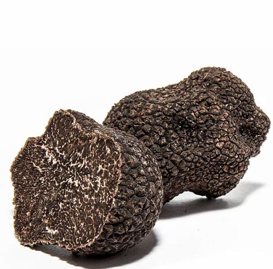 Tuber Melanosporum