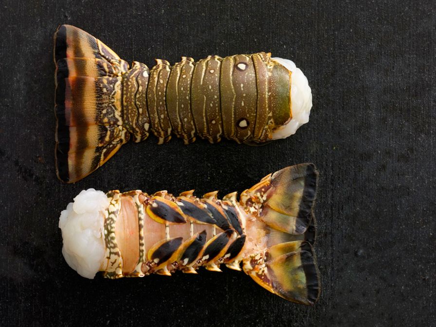 Brazil Warm Water Lobster tails 4 oz. (Frozen) (approx. 40 tails) 