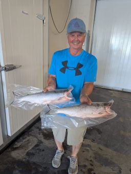 Sockeye Salmon - H/G Frozen Vac Packed - BC WILD